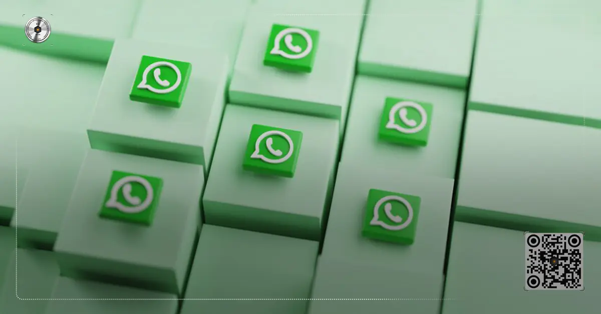 Which WhatsApp API Provider Is Best for You
